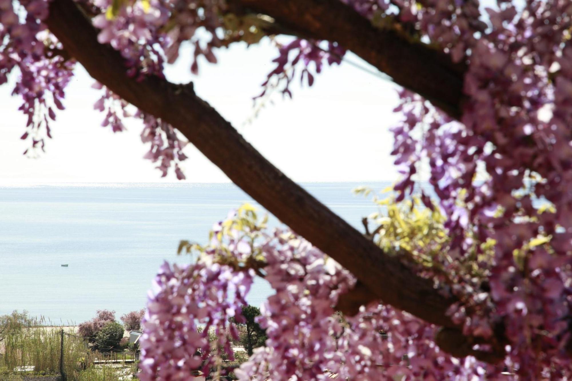 Hotel Galli - Wellness & Spa Fetovaia Luaran gambar